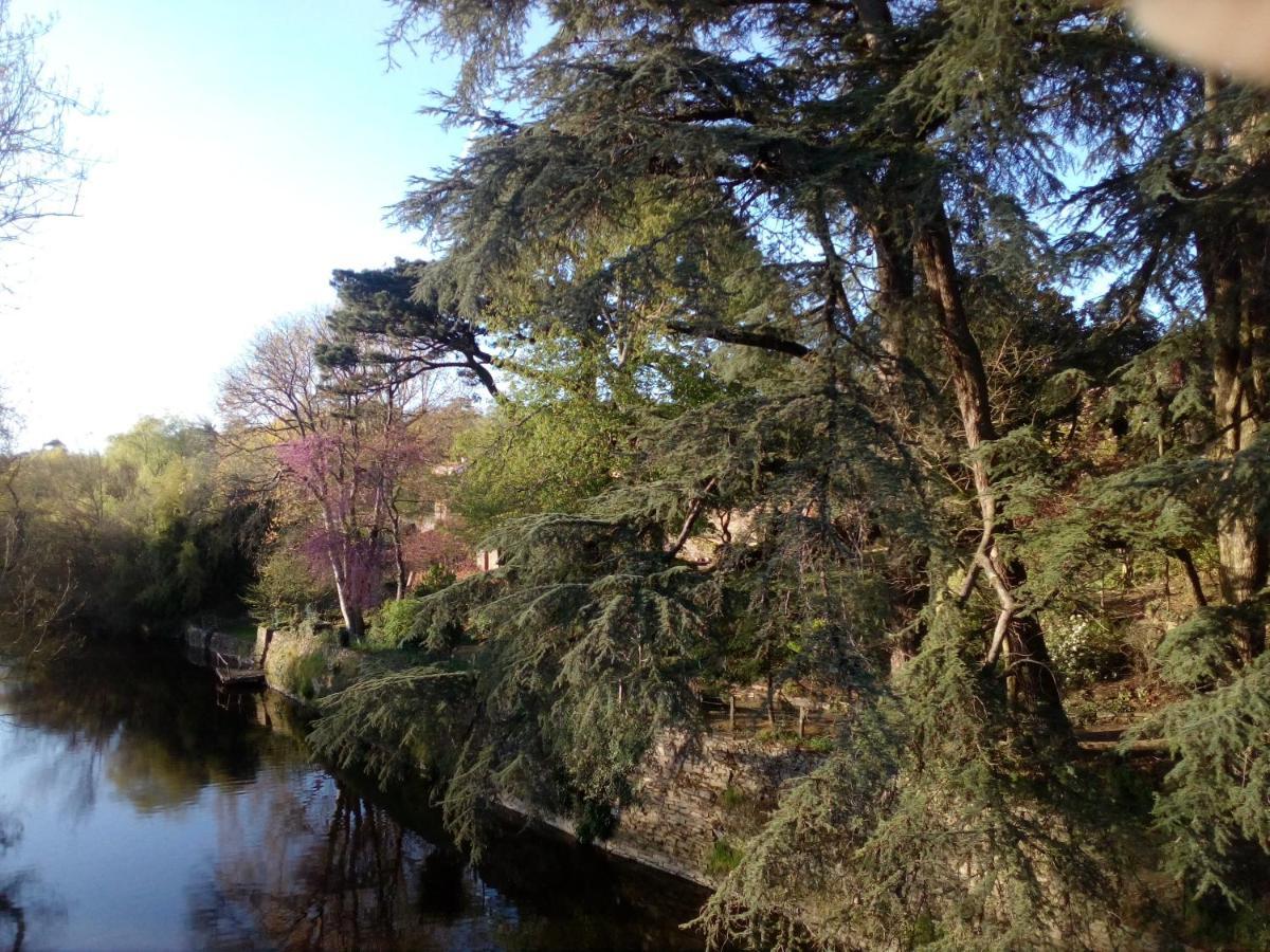 Les Cedres Bed & Breakfast Montaigu-Vendee Bagian luar foto