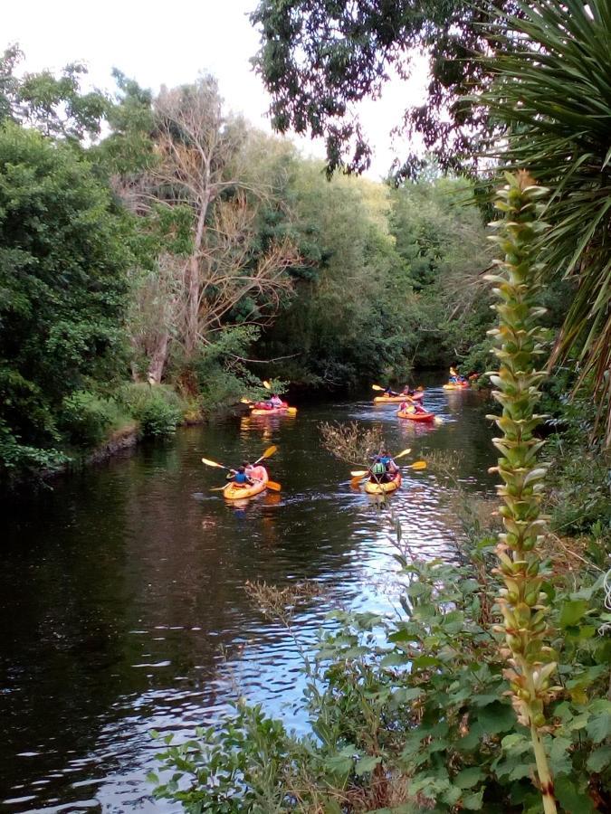 Les Cedres Bed & Breakfast Montaigu-Vendee Bagian luar foto